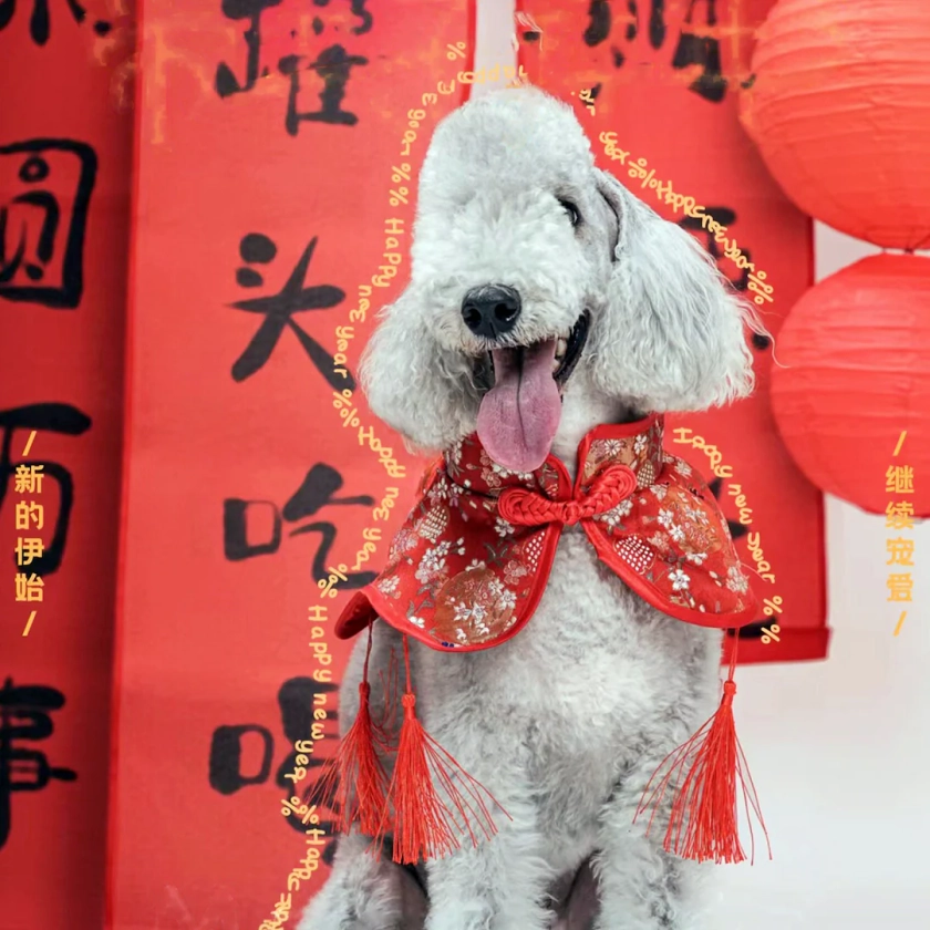 New Year Large Dog Cape Red Bandana Bib, Chinese Spring Festival Costume for Big Dogs Poodle Husky Golden Retriever Labrador Samoyed Shiba - Etsy UK