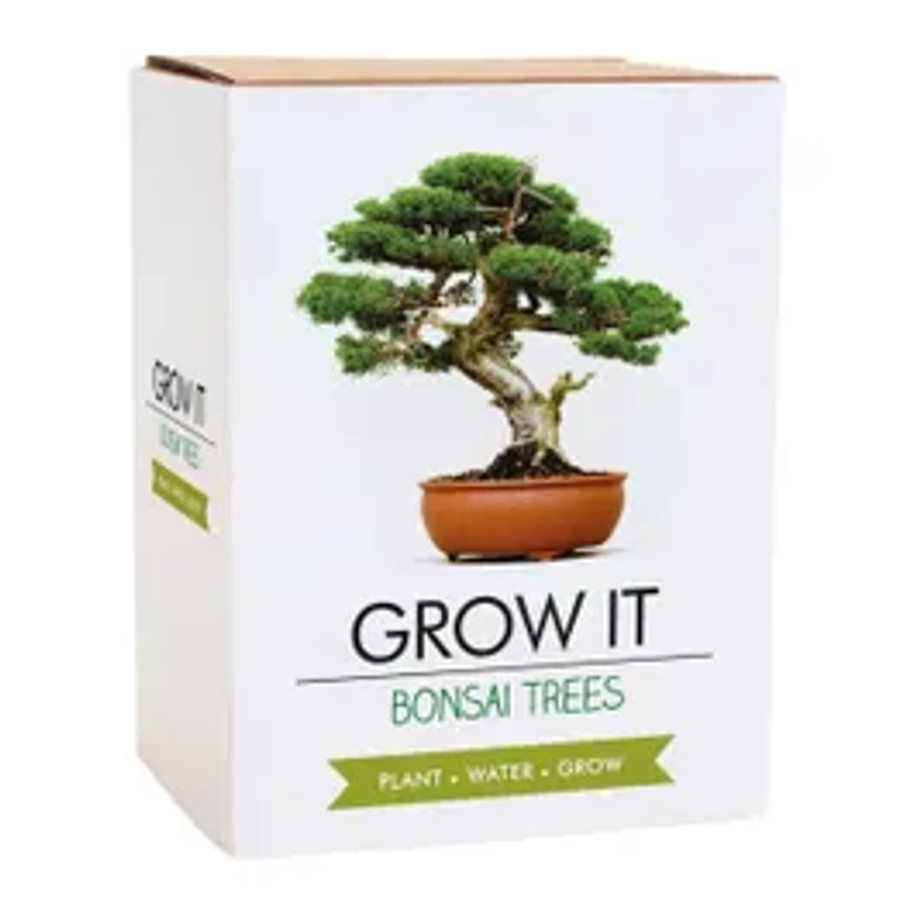 Grow Your Own Bonsai Plant - Grow It