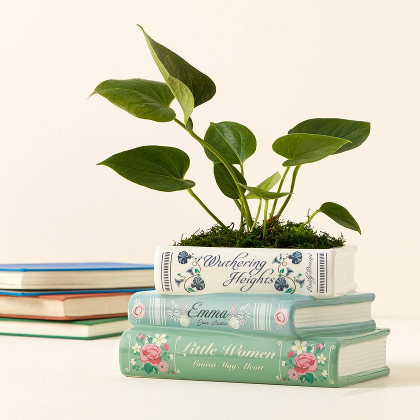 Novel Garden Planter | Book Planter