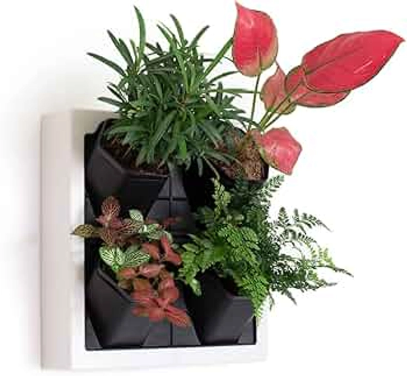 Self Watering Wall Planter with 4 Pots - Easy to Create Indoor Living Wall for Home, Office and Store Front - Includes Water Gauge (White)