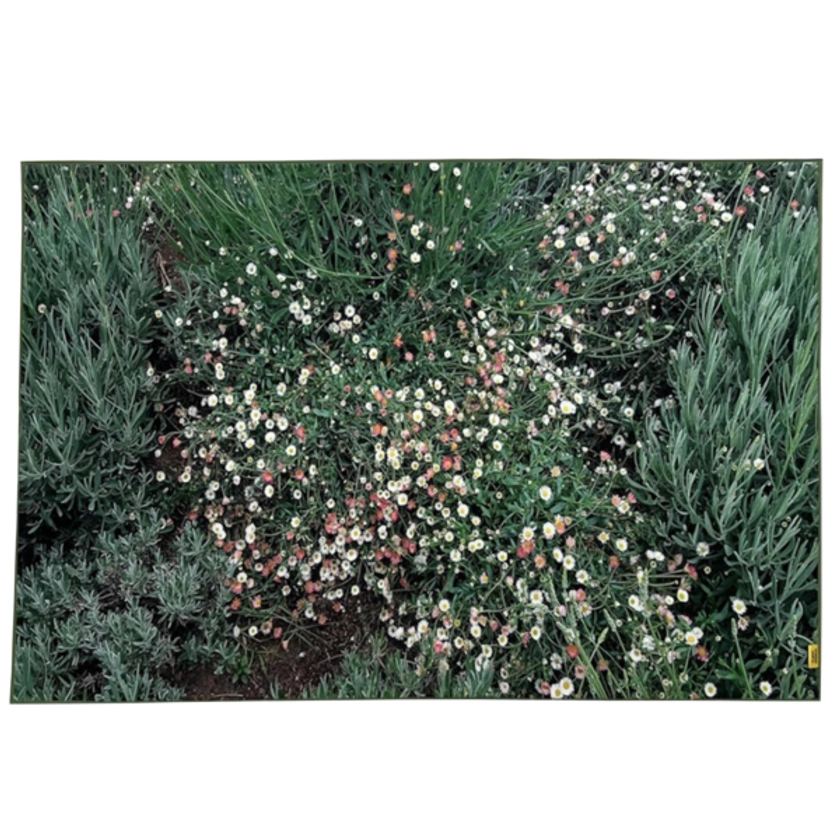 Flower garden, landscape rug