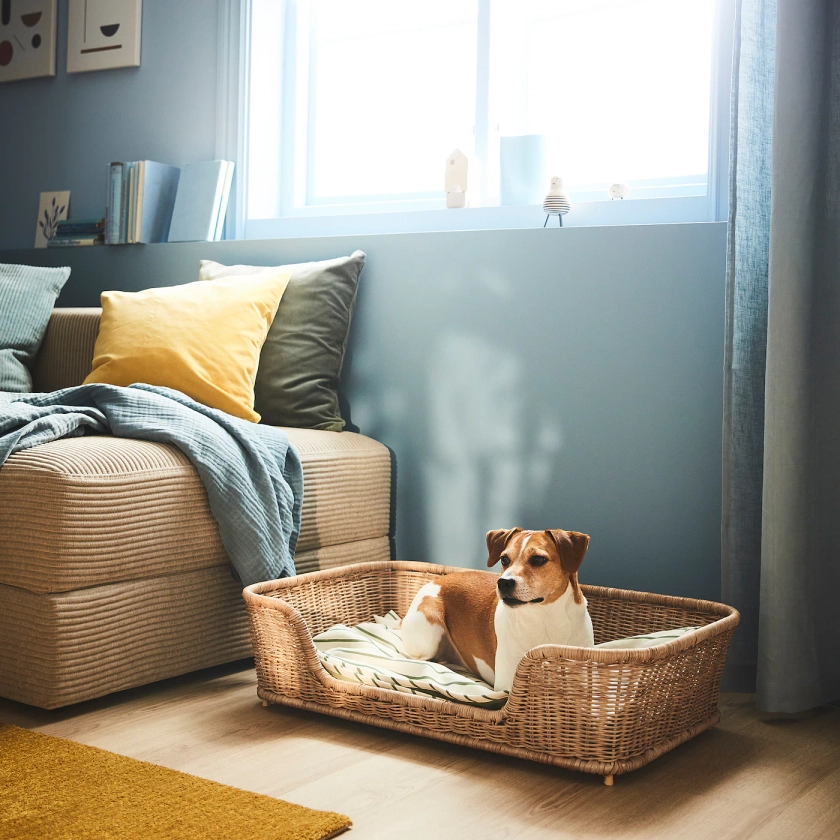 UTSÅDD Dog bed - rattan 80x50x20 cm (31 ½x19 ¾x7 ¾ ")