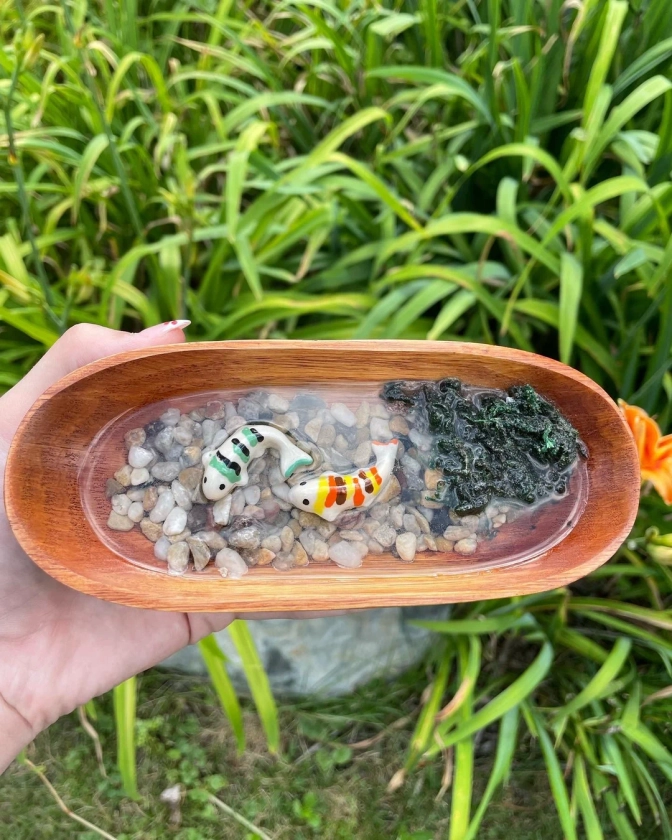 Miniature Koi Pond - Etsy
