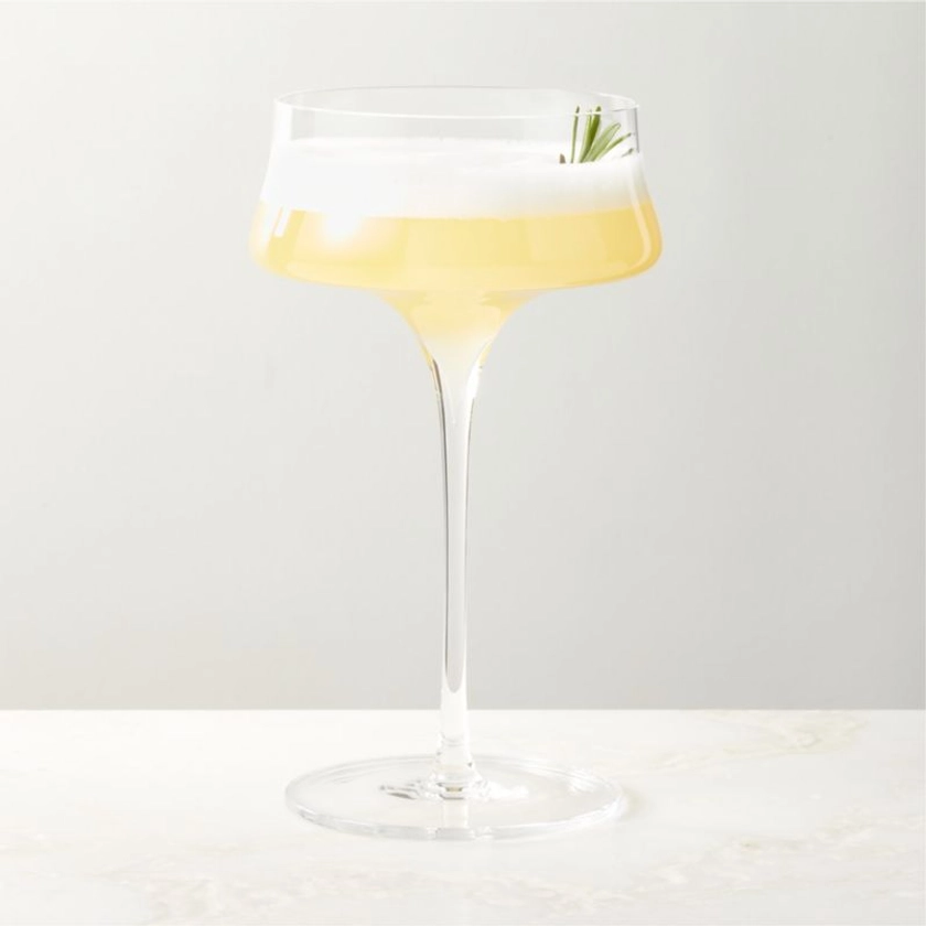 Estera Clear Coupe Glass | CB2 Canada