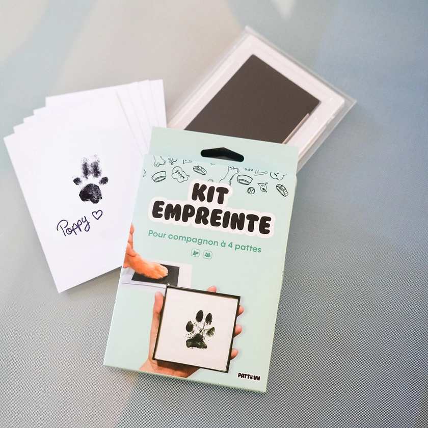 Un kit d'empreinte chien et chat