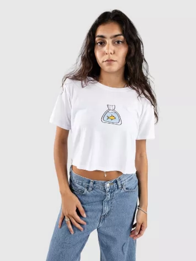 A.Lab Goldfishy Cropped T-Shirt | Buy Now - Blue Tomato