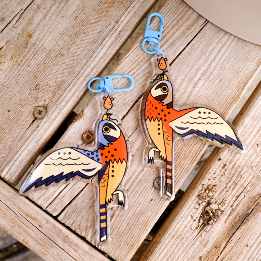 Dimorphic American Kestrel Acrylic Keychain