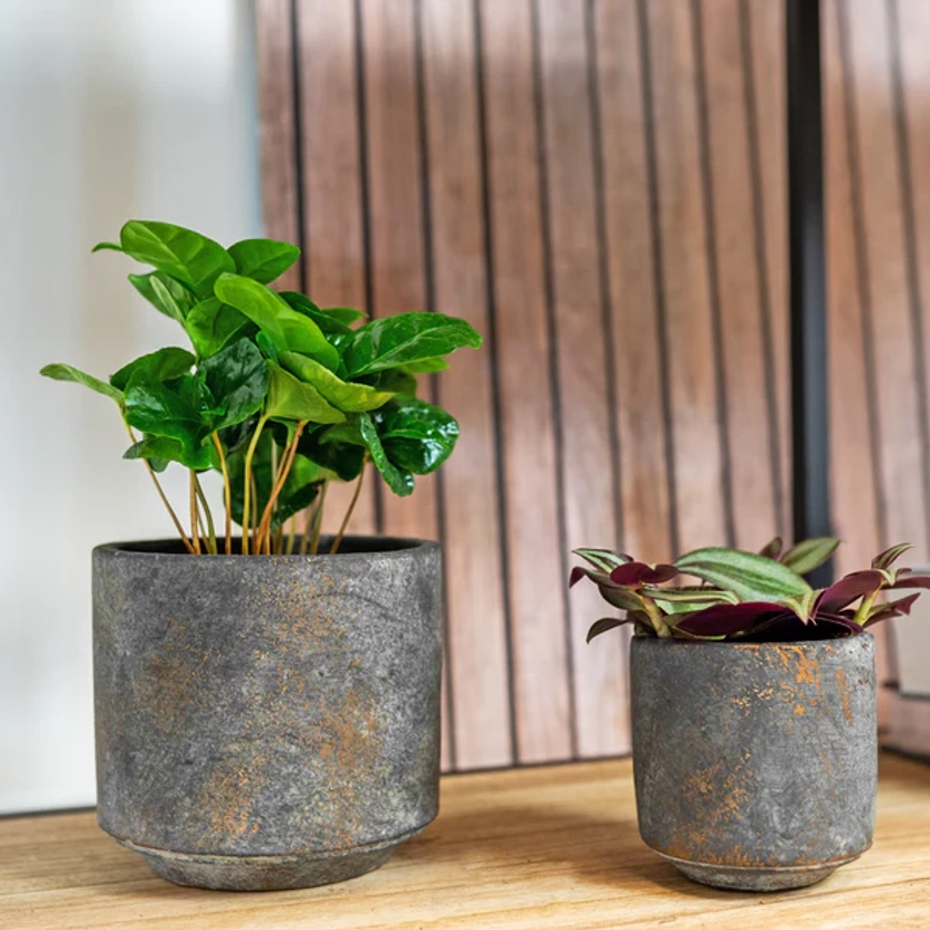 Saar Plant Pot - Earth Cement