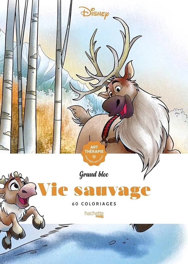 Grand bloc Disney Vie sauvage : Guérin, Jean-Luc: Amazon.fr: Livres