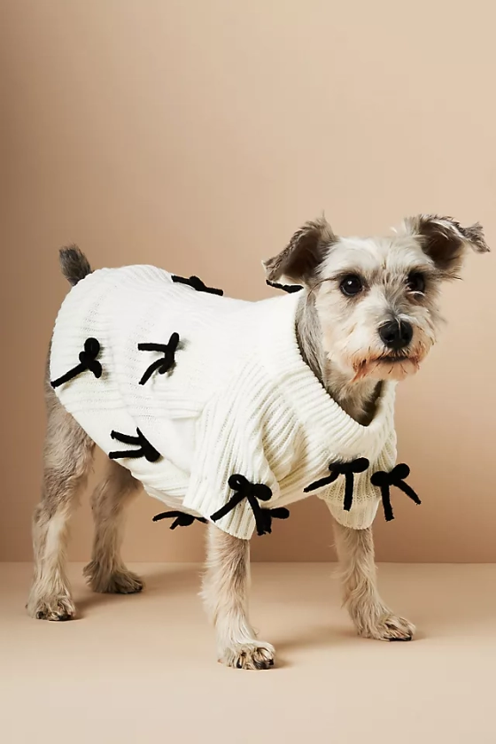 3D Motif Pet Sweater