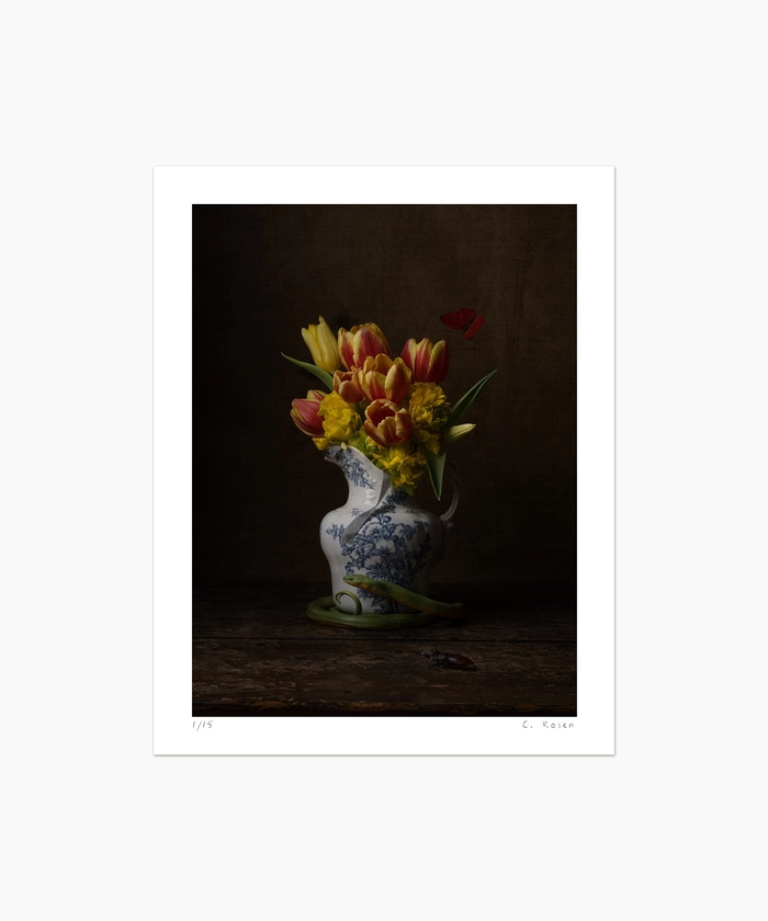 Floral Still Life No. 4629 — Claire Rosen