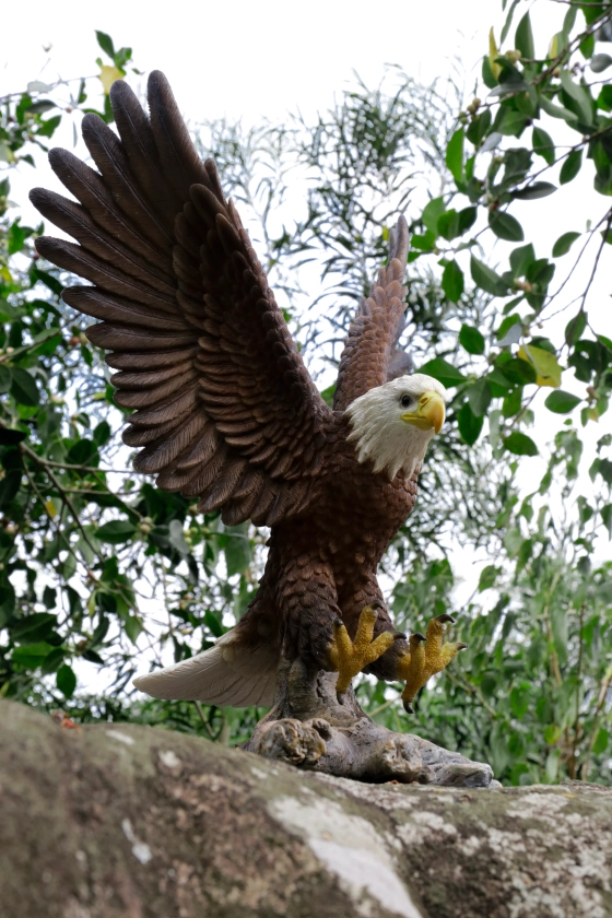 Small Flying Eagle Statue