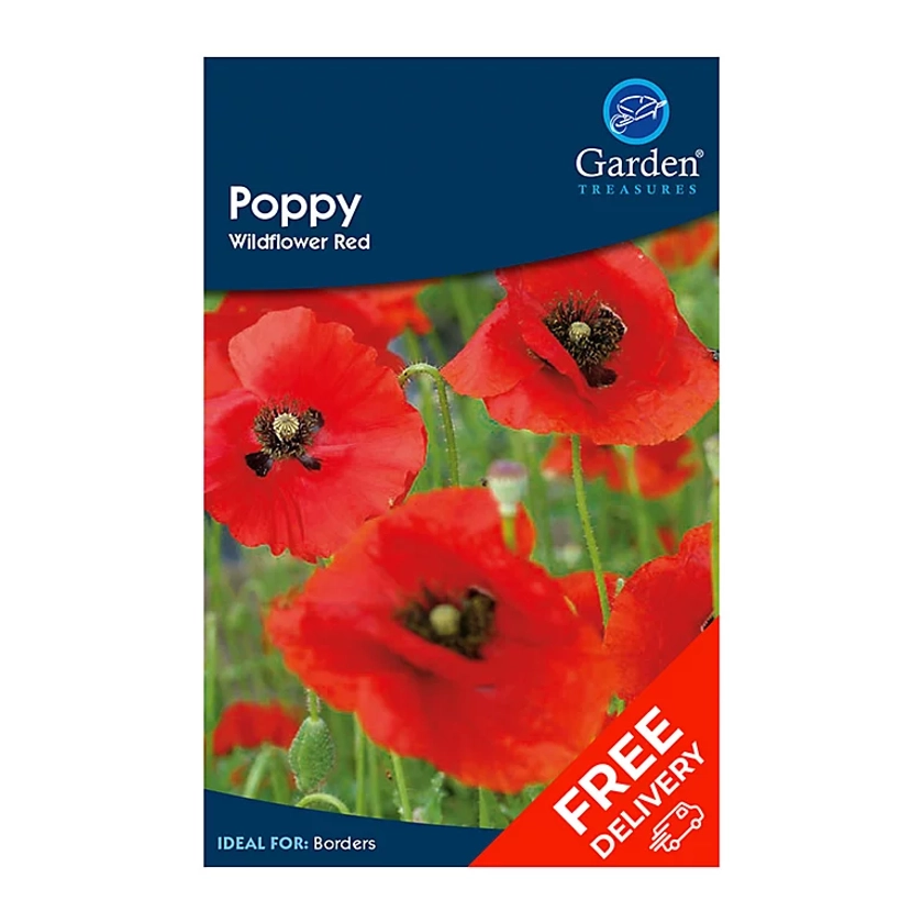 Poppy Wildflower Red (Papaver rhoeas) | DIY at B&Q