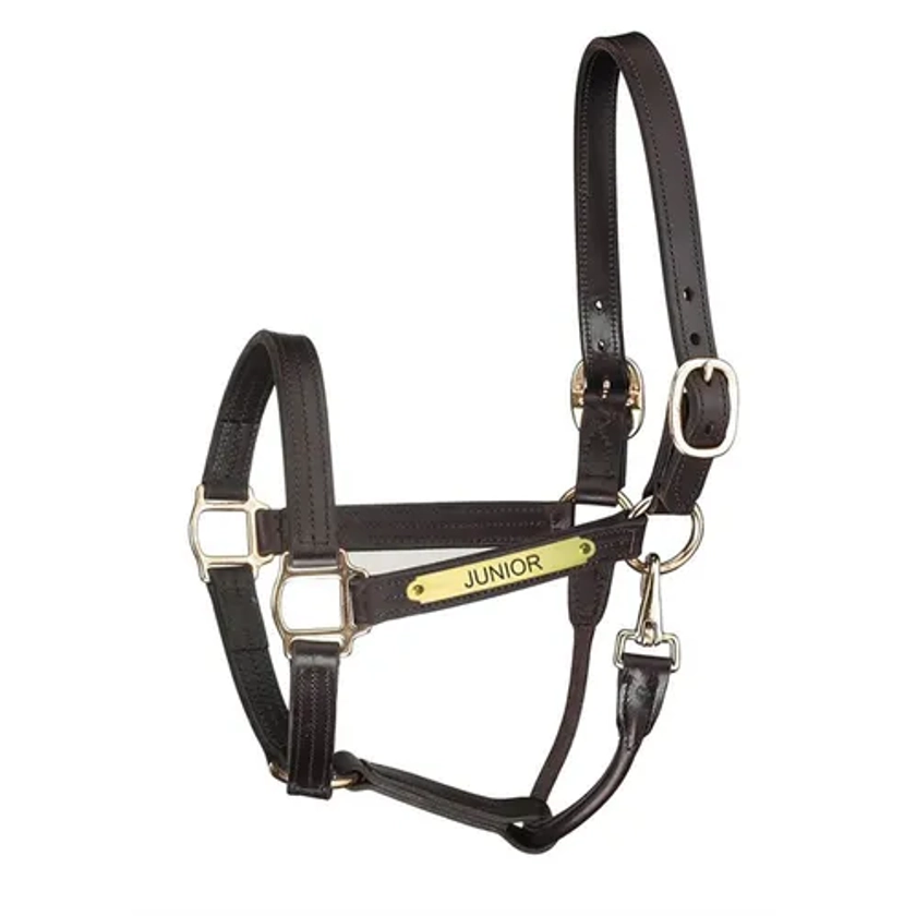 Perri’s® Premium Track Style Leather Show Halter with Snap & Nameplate | Dover Saddlery