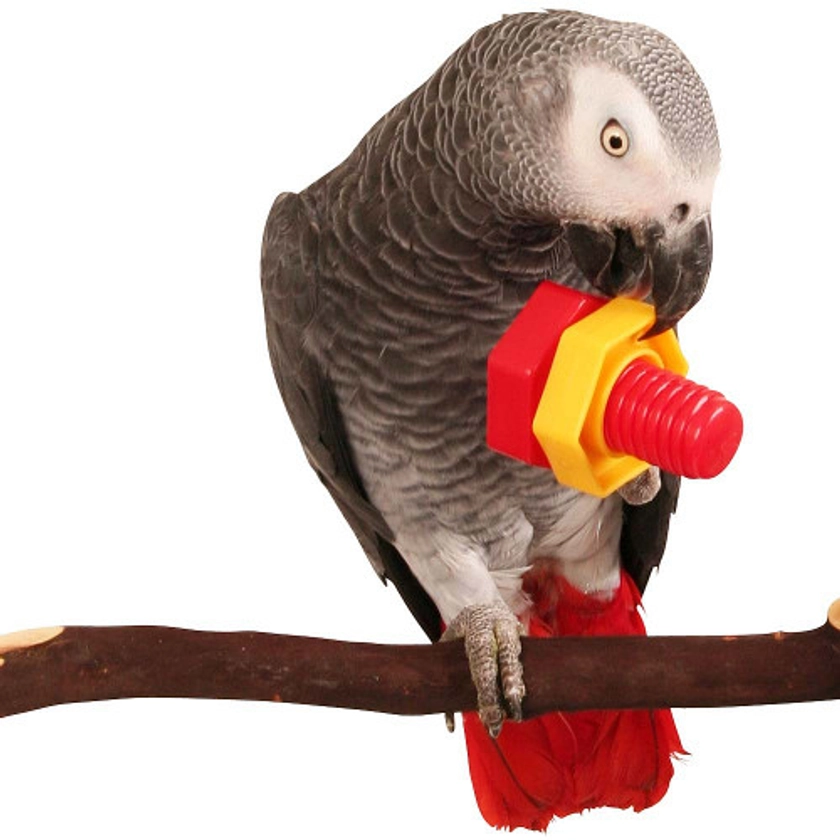 Jumbo Nuts & Bolts Parrot Puzzle Toy - Single