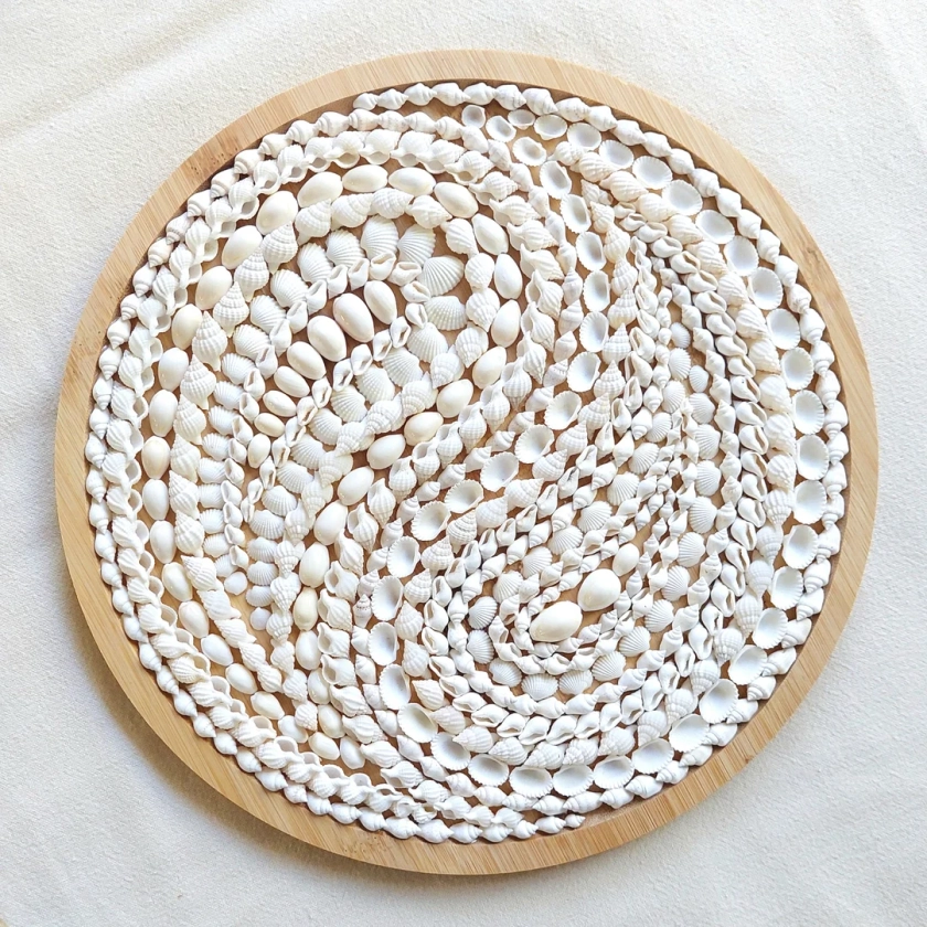 Seashell artwork