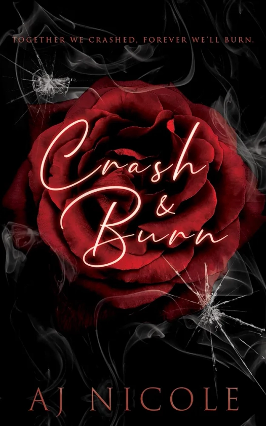 Crash & Burn (Pain & Pleasure Book 1)