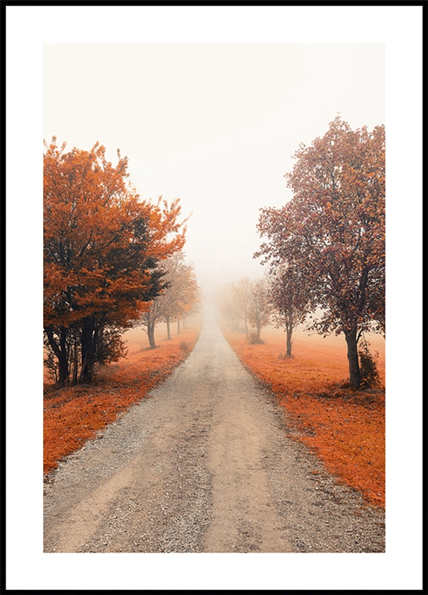 Affiche de Misty Tree Alley