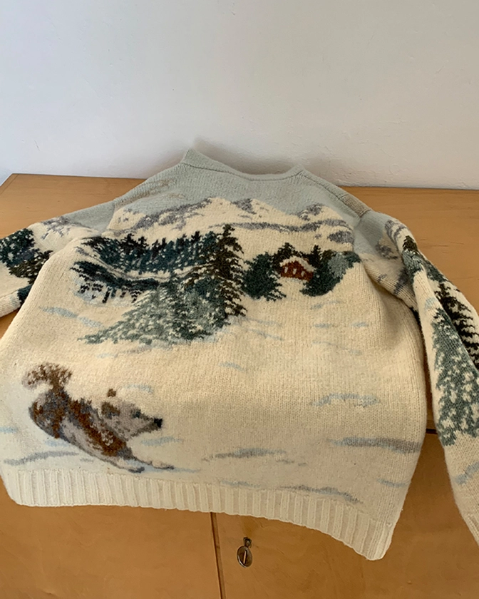 (Deadstock) 90's Polo Ralph Lauren Winter exclusive hand hoodie knit (rare piece) : lilisun