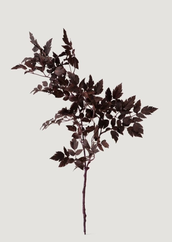 Plum Purple Cimicifuga Ramosa Foliage | Fake Fall Leaves | Afloral.com