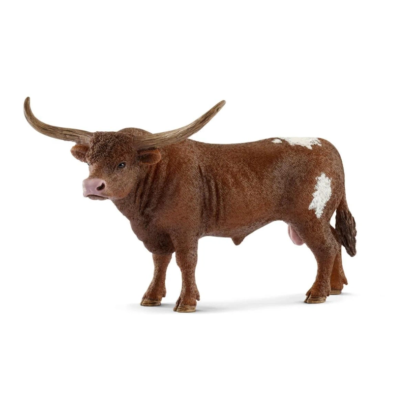 Texas Longhorn bull