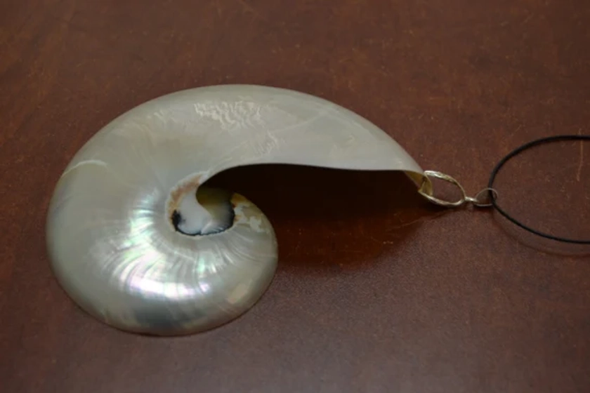 White Pearl NAUTILUS shell pendant