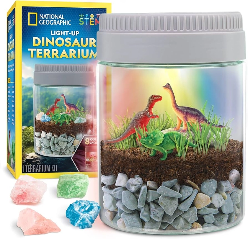 NATIONAL GEOGRAPHIC Dinosaur Terrarium Kit for Kids – Multicolour Light Up Terrarium Kit for Kids, Build a Dinosaur Habitat with Real Plants, Science Kit, Dinosaur Toys for Kids, Kids Science