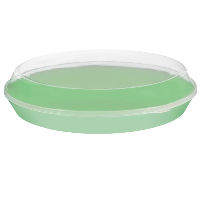Food Tray with Clear Lid - Green