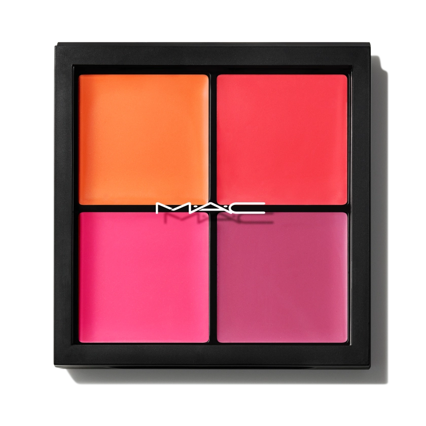 Pro Face Palette: Blush