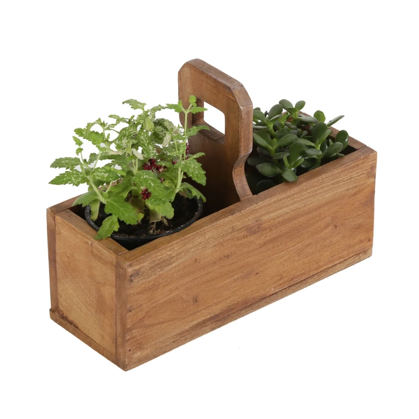 Jardinière VIOLA jardinière parterre de fleurs parterre d'herbes aromatiques 30x12x12 cm avec poignée de transport plateau décoratif en forme de brique boîte à fleurs boîte en bois NUA023