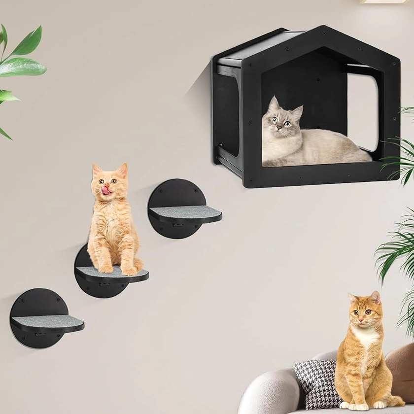 Cat Wall Shelves, Cat Shelves and Perches for Wall, Cat House Fit Cat Up to 25Lbs, 1 Cat Condo House and 3 Large Cat Steps with Scratching Pad, Cat Climbing Shelf for Indoor, Cat Wall Furniture