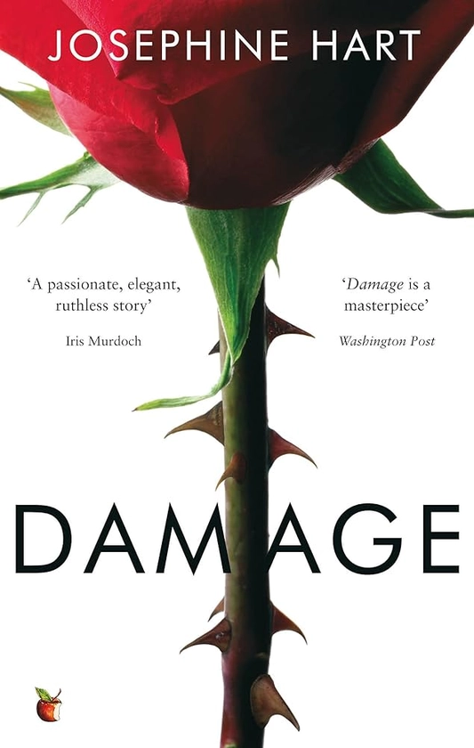 Damage: INSPIRATION FOR THE NETFLIX SERIES OBSESSION