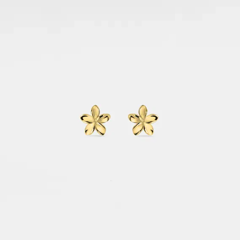 PERIMADE Dainty Flower Stud Earrings • Tiny Gold Flower Stud Earrings • Sterling Silver Friendship Jewelry • Trendy Best Friend Gift