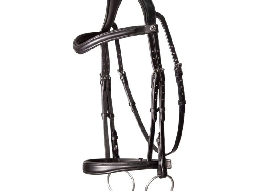 Henry James Cavesson Bridle