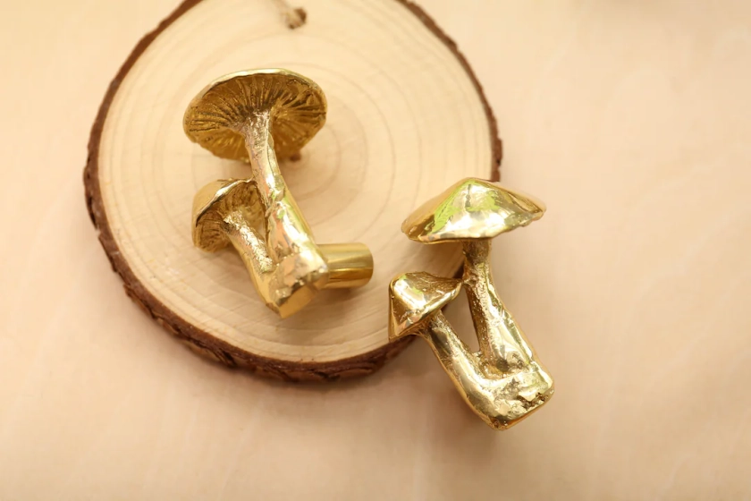 Mushroom Brass Knobs and Pulls/plant Mushroom Drawer Knobs/cabinet Pulls/wardrobe Pull /desk Knob /kitchen Knob/dresser Knobs - Etsy