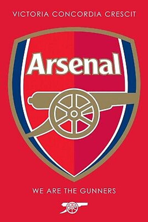 Arsenal FC Crest Poster (24x36) inches | eBay