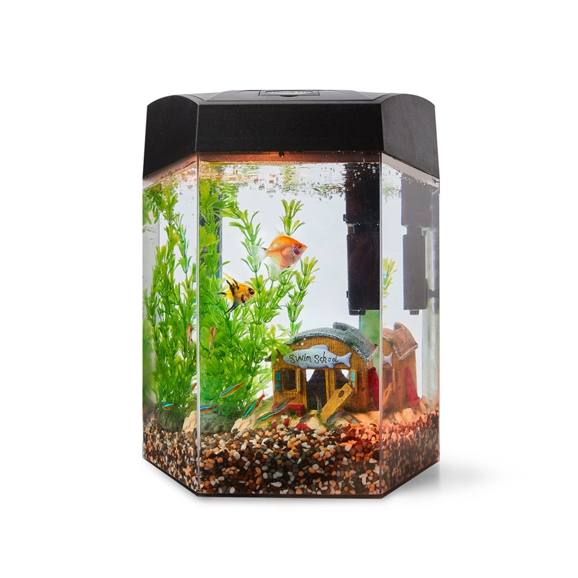 360 Degree LED Aquarium