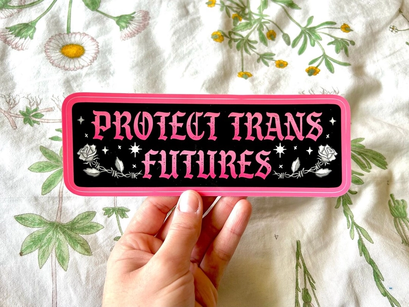 Protect Trans Futures Bumper Sticker | Original Fade Resistant Weather Proof Vinyl Sticker | barbed wire rose protect trans folks kids youth