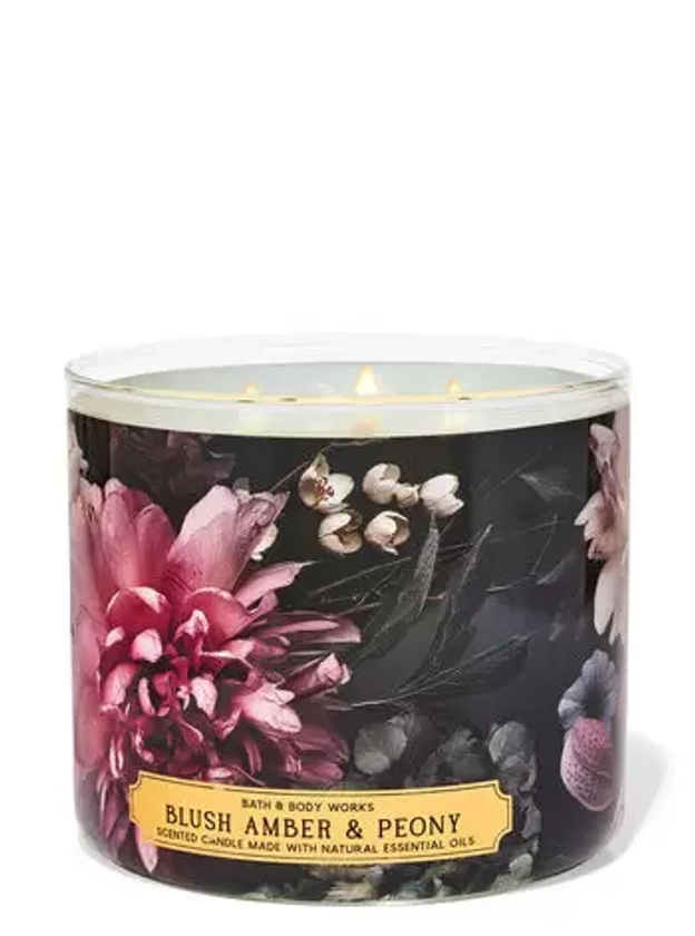 Blush Amber & Peony

3-Wick Candle