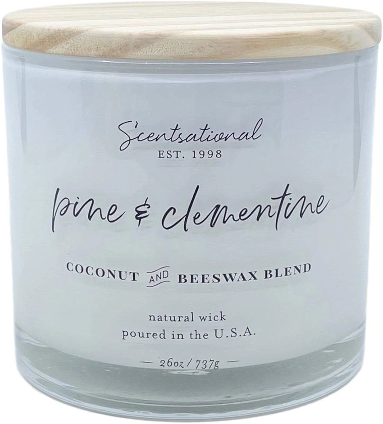 Scentsational Large Pine and Clementine Scented Candle White