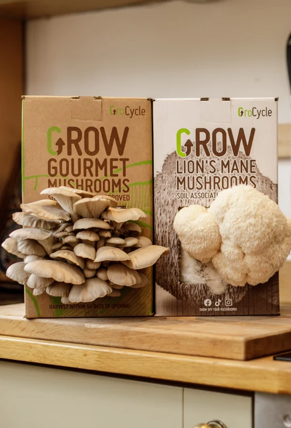 GroCycle Shop - Mushroom Growing Kits