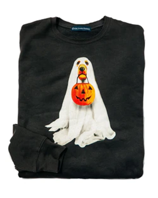 Trick or Treat Sweatshirt