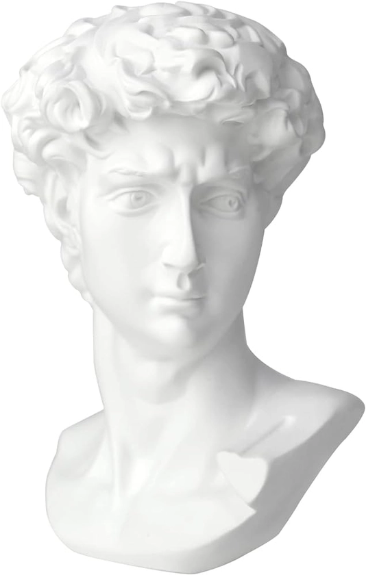 Amazon.com: Norrclp 11in Greek Statue of David, Classic Roman Bust Greek Mythology Sculpture for Home Decor : Home & Kitchen
