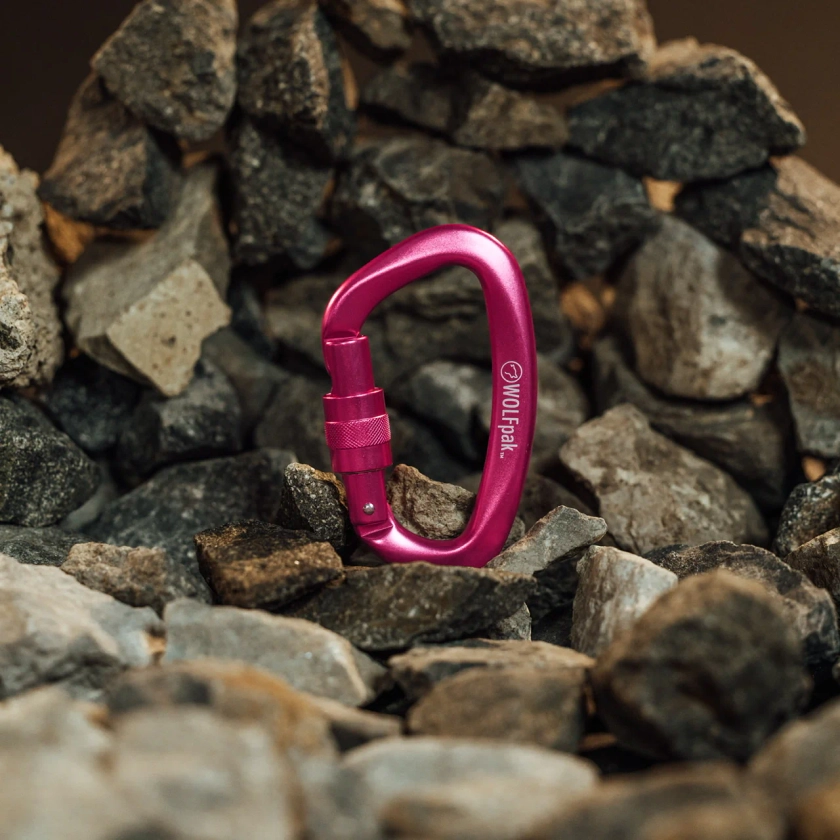 Accessory Carabiner Pink Goddess