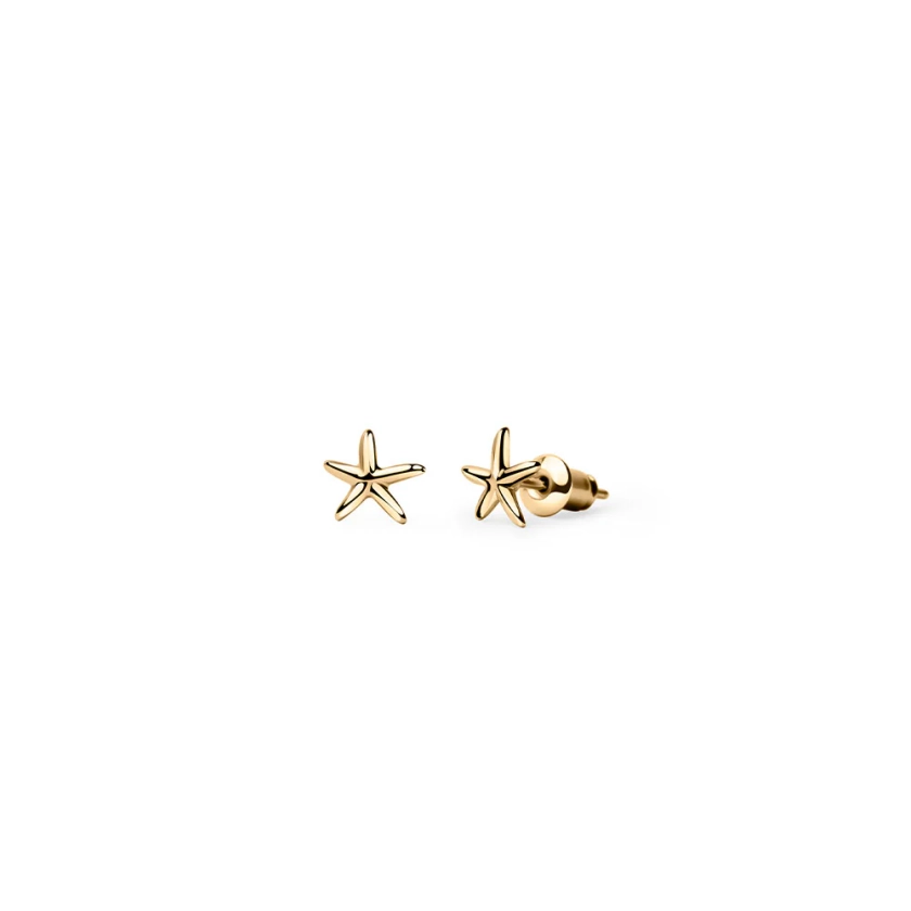 Starfish Studs