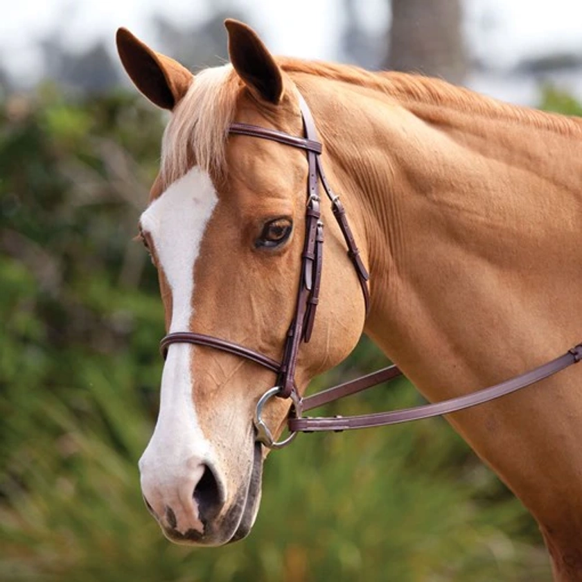Plymouth® Basic Hunter Bridle by SmartPak