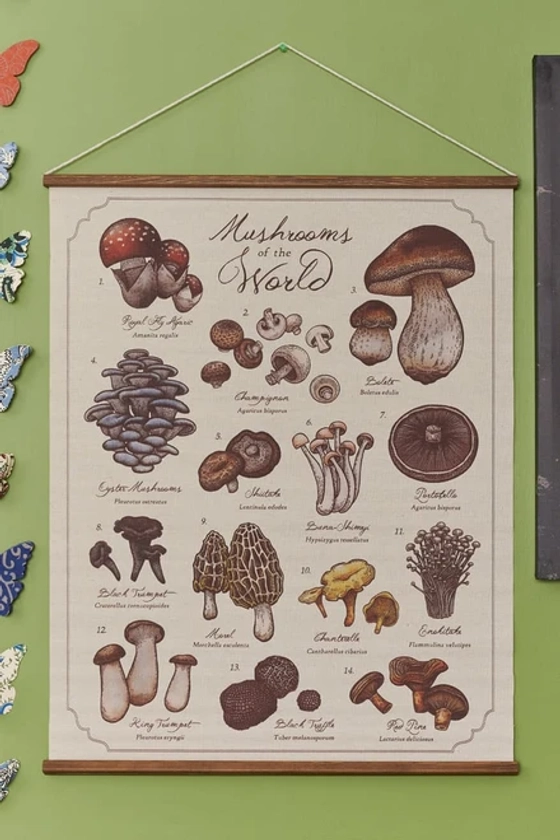 EBX Mushrooms of the World Wall Hanging