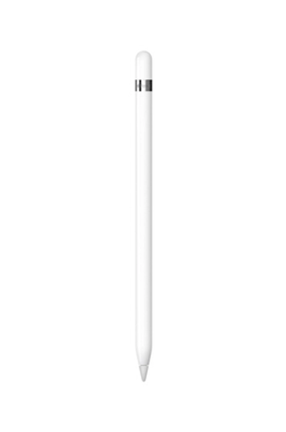 Apple Pencil (1ʳᵉ génération) + adaptateur USB-C