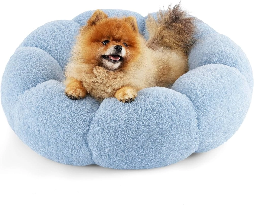 Lesure Calming Small Dog Bed - Flower Donut Round Fluffy Puppy Bed in Plush Teddy Sherpa, Non-Slip Cute Flower Cat Beds for Indoor Cats, Small Pet Bed Fits up to 25 lbs, Machine Washable, Blue 23"
