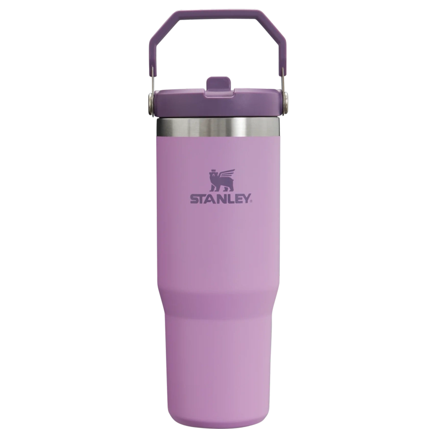 The IceFlow Flip Straw Tumbler | 30 OZ | Insulated Water | Stanley